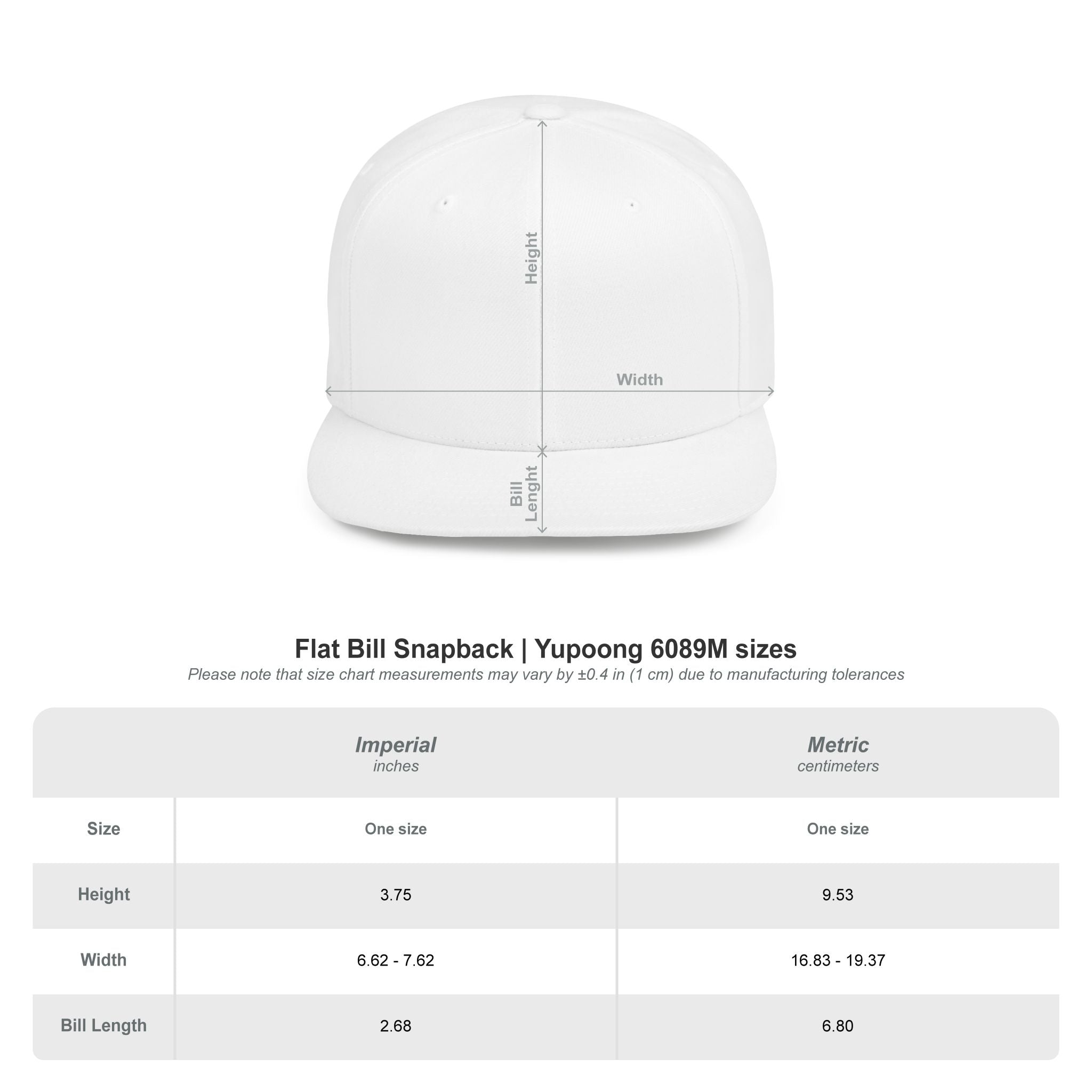 High Tide Coastal — Flat Bill Snap Back